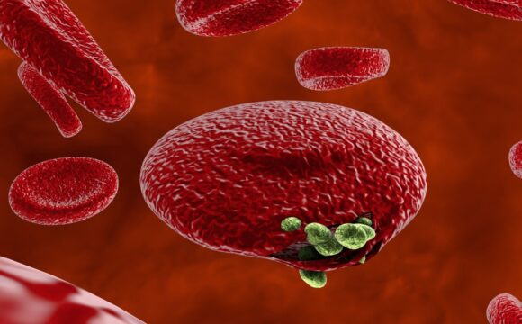 1493065150_0_156_3000_1844_1920x1080_80_0_0_3b5b024464f33853cb558b07fe6c970a Что нужно знать о малярии