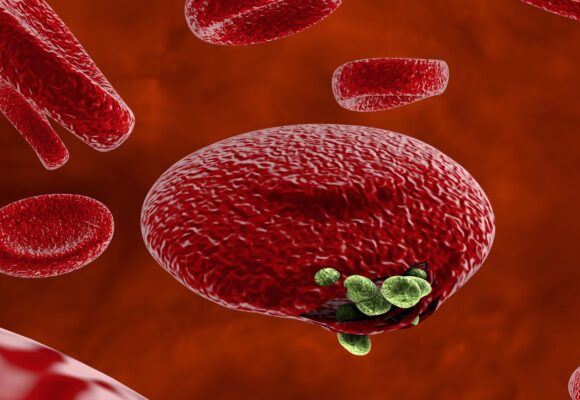 1493065150_0_156_3000_1844_1920x1080_80_0_0_3b5b024464f33853cb558b07fe6c970a Что нужно знать о малярии