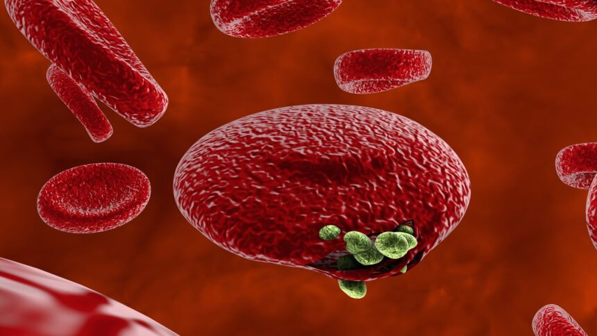 1493065150_0_156_3000_1844_1920x1080_80_0_0_3b5b024464f33853cb558b07fe6c970a Что нужно знать о малярии