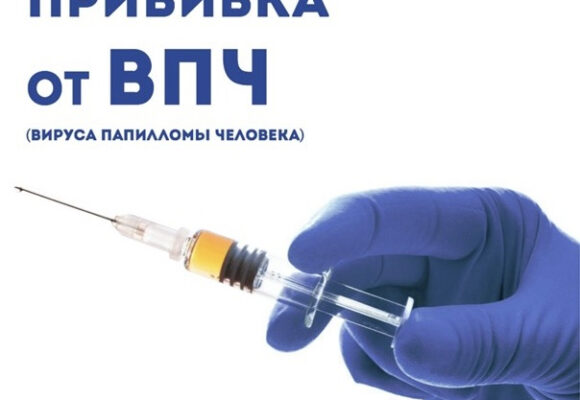 66c31544a7ced О вакцине Цеколин