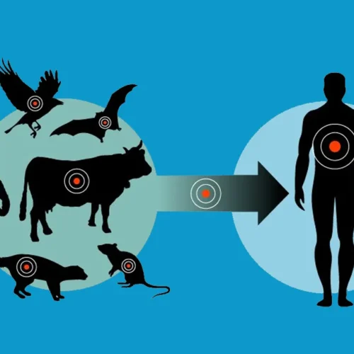 Профилактика зооантропонозных инфекций