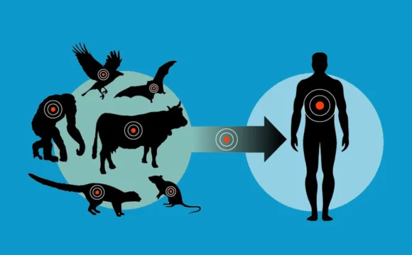 i Профилактика зооантропонозных инфекций