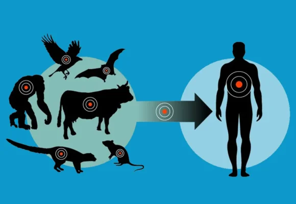 i Профилактика зооантропонозных инфекций