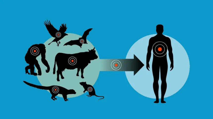 i Профилактика зооантропонозных инфекций