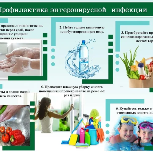Профилактика энтеровирусной инфекции