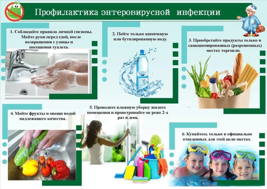 Профилактика энтеровирусной инфекции