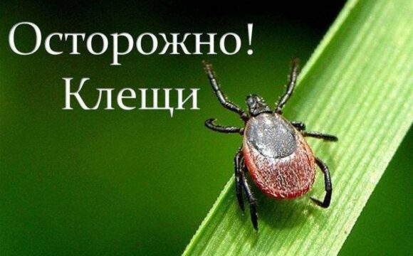 Осторожно клещи!