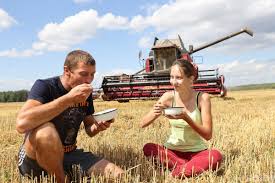 О контроле условий труда и питания работающих в период массовых  полевых работ