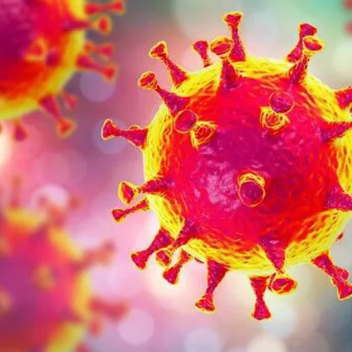 От детей – к взрослым. Развенчиваем мифы о ротавирусе.