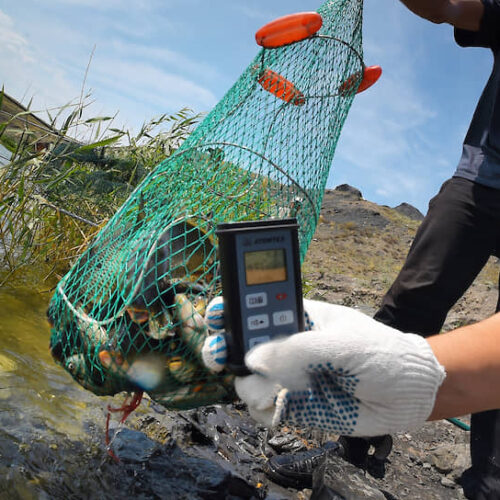 Все что нужно знать рыболову о радиационном контроле.