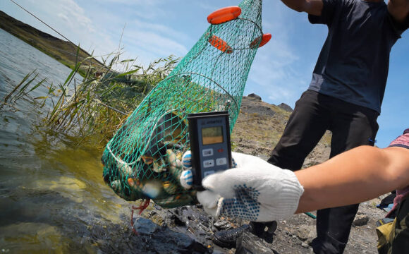 Все что нужно знать рыболову о радиационном контроле.