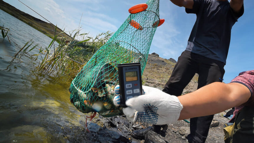 Все что нужно знать рыболову о радиационном контроле.