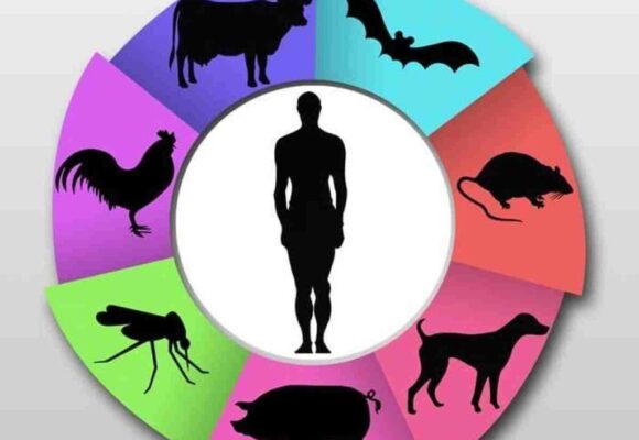 Внимание! Зооантропонозные инфекции