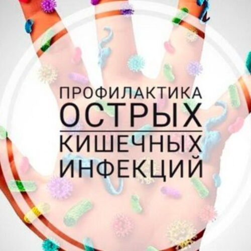 Профилактика острых кишечных инфекций