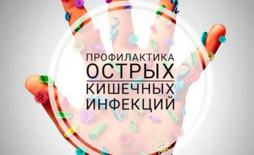Профилактика острых кишечных инфекций