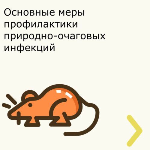 Профилактика зооантропонозных инфекций