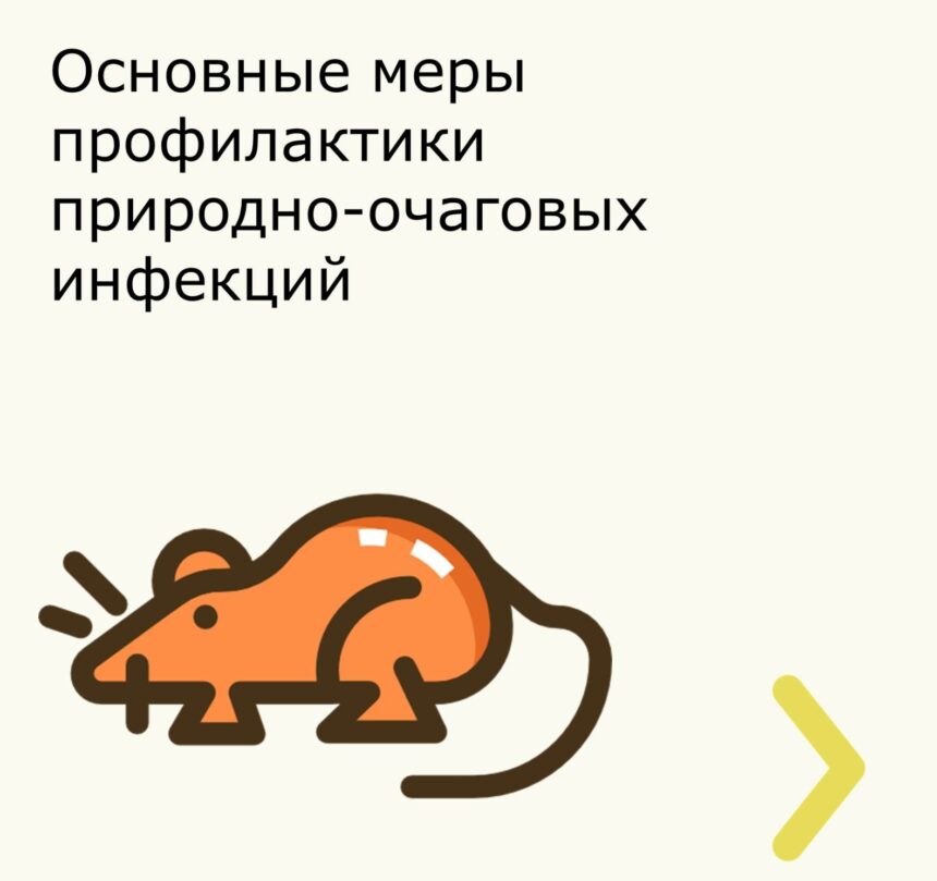 Профилактика зооантропонозных инфекций