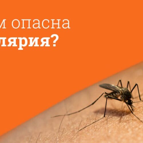 Малярия — опасное заболевание
