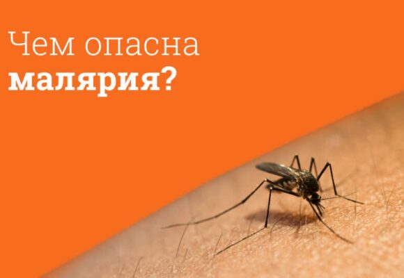 Малярия — опасное заболевание