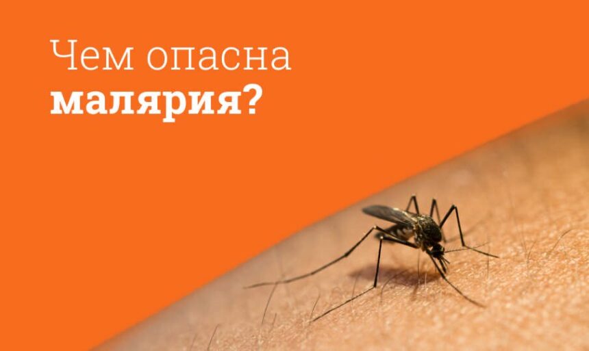 Малярия — опасное заболевание