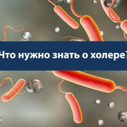 Профилактика холеры