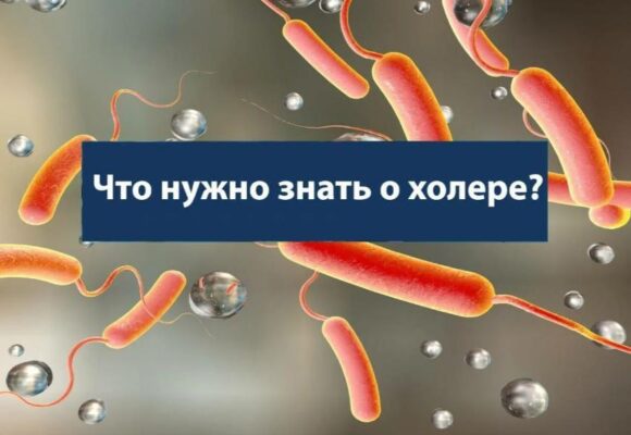 Профилактика холеры