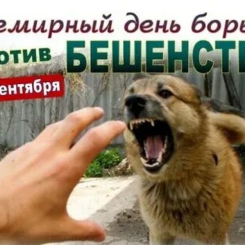 28 сентября — Всемирный день борьбы против бешенства