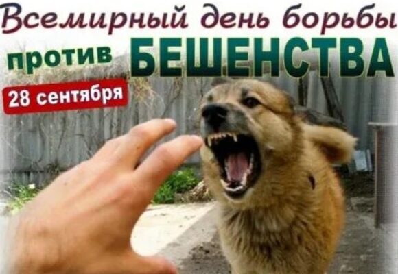28 сентября — Всемирный день борьбы против бешенства